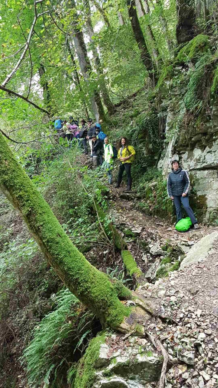 	14 3 Tage auf dem Schluchtensteig im Südschwarzwald